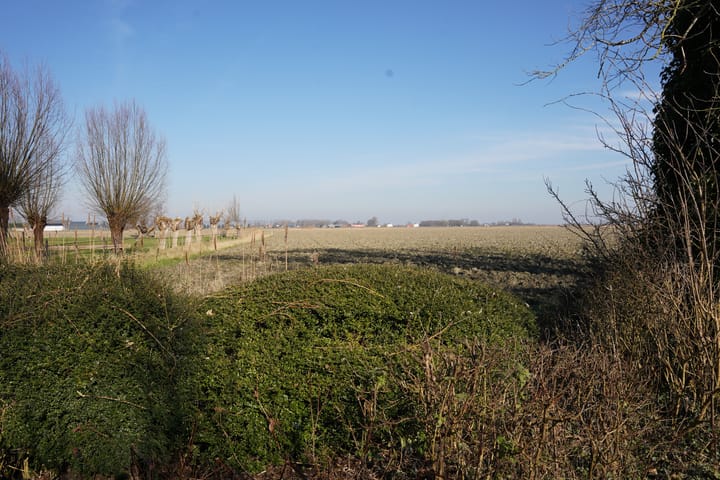 Photo 39 of Schoondijkseweg 3