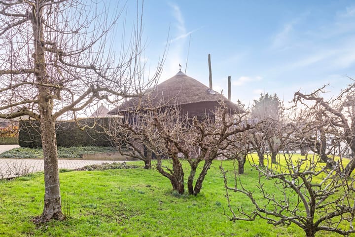 Foto 51 van Burgemeester Posweg 17