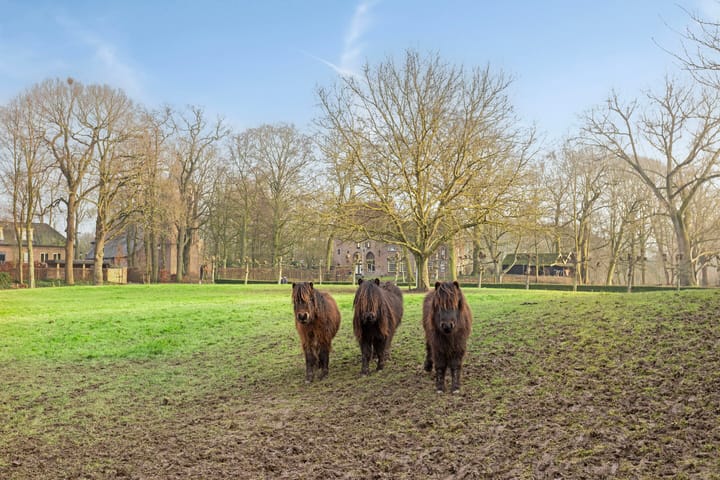 Foto 59 van Burgemeester Posweg 17