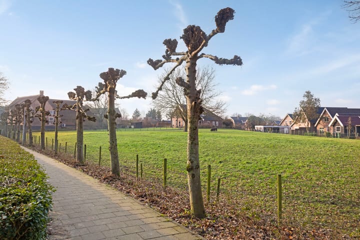 Foto 63 van Burgemeester Posweg 17