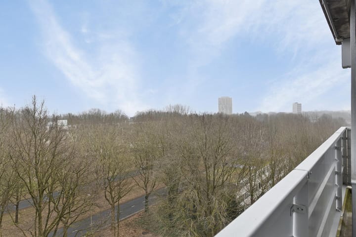 Foto 28 van Mozartlaan 499