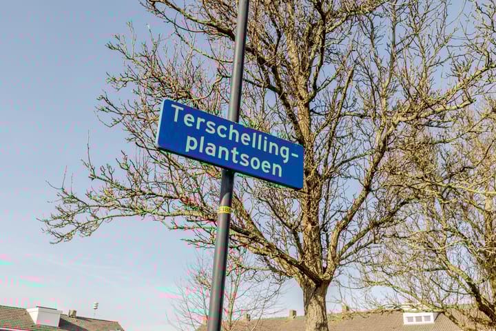 Foto 43 van Terschellingplantsoen 3