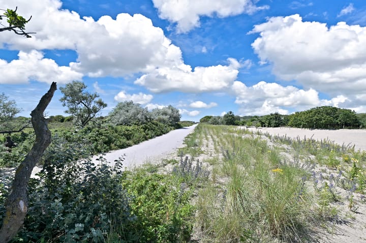 Photo 31 of Tesselsestraat 81