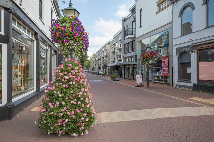 Foto 19 van Brinklaan 73-A