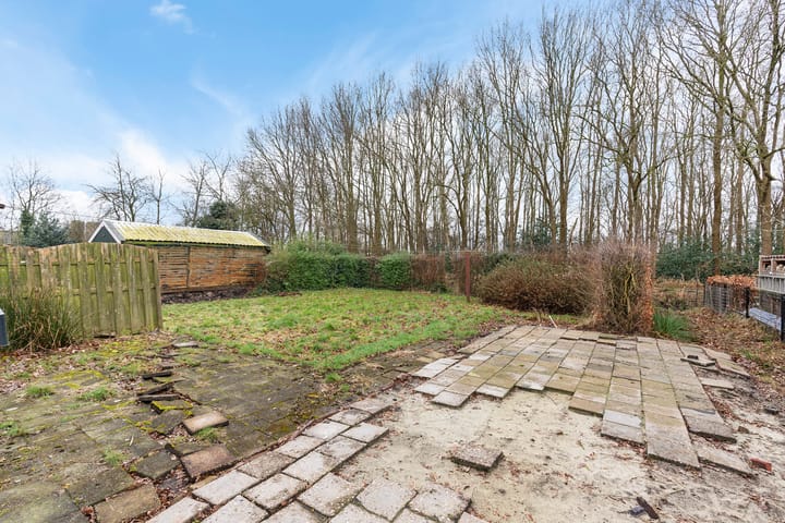 Foto 15 van Bornego 45