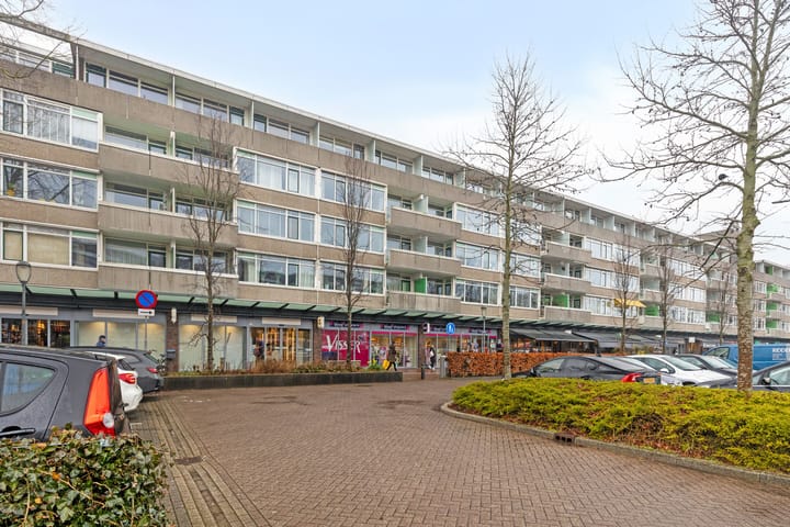 Foto 2 van Van Ostadelaan 406