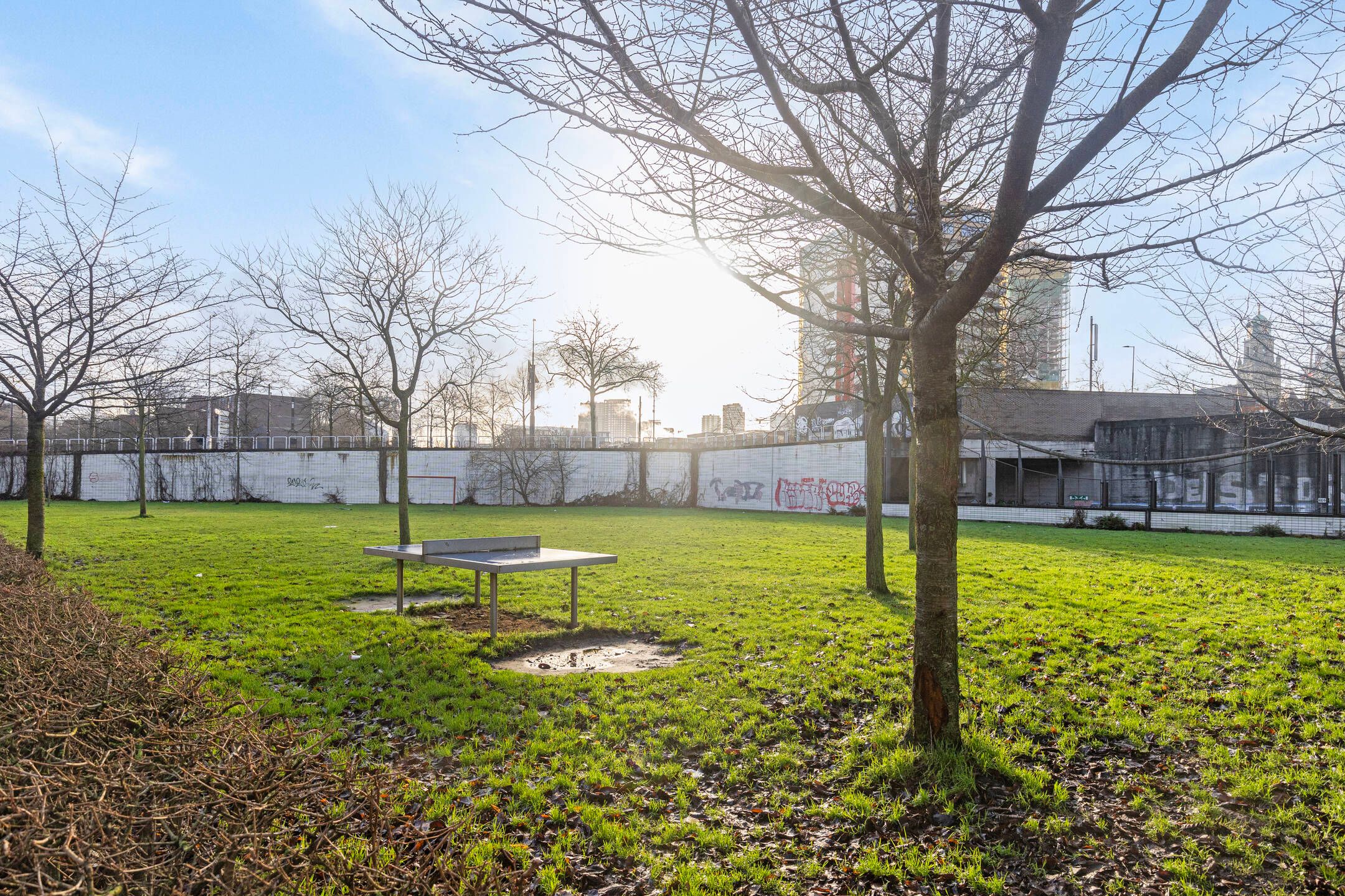 Foto 30 van Gravin Adélastraat 86