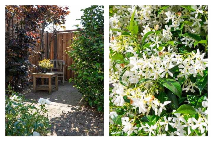 Foto 3 van Molukkenstraat 18