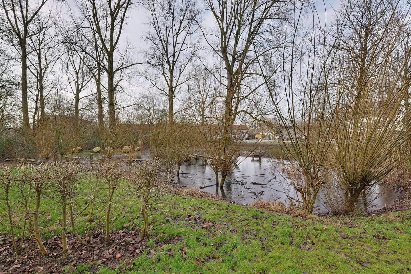 Foto 14 van Middachtensingel 36