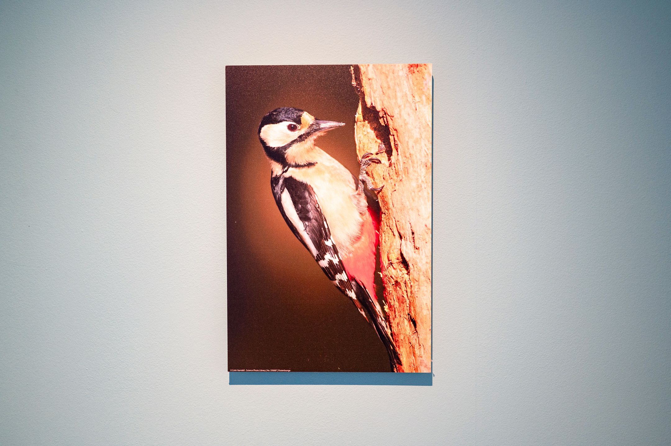 Photo 18 of Blekemeer 29-D3B