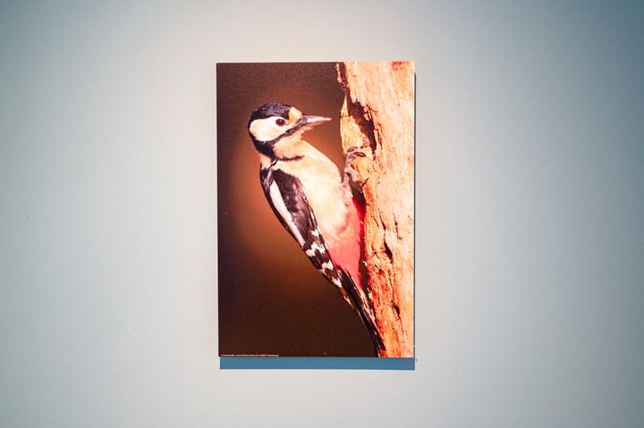 Photo 18 of Blekemeer 29-D3B