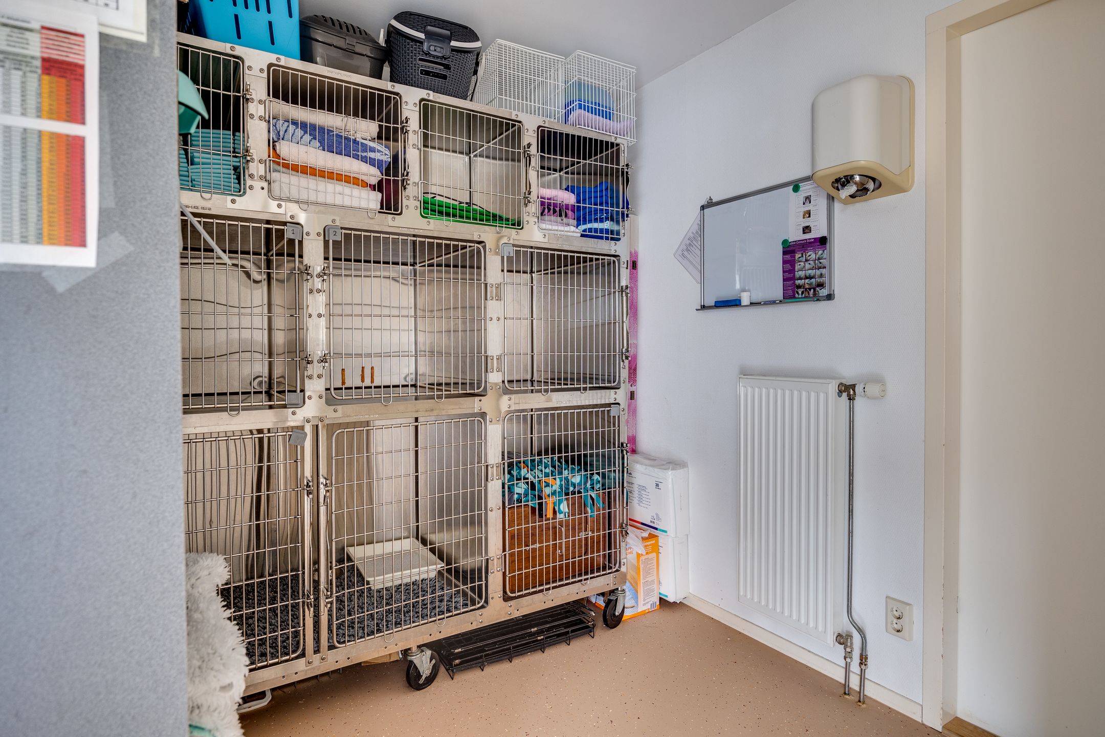 Foto 12 van Karrespoor 1