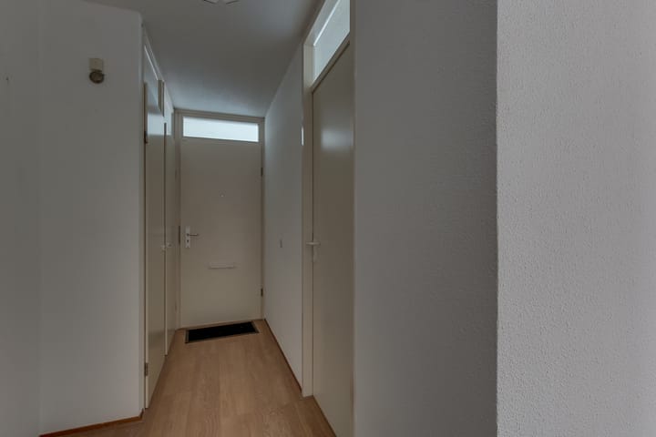 Photo 11 of Flora 49