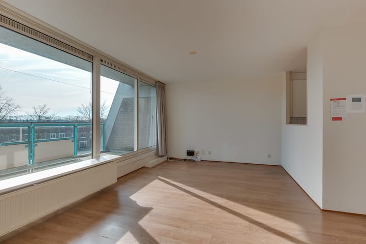 Photo 13 of Flora 49