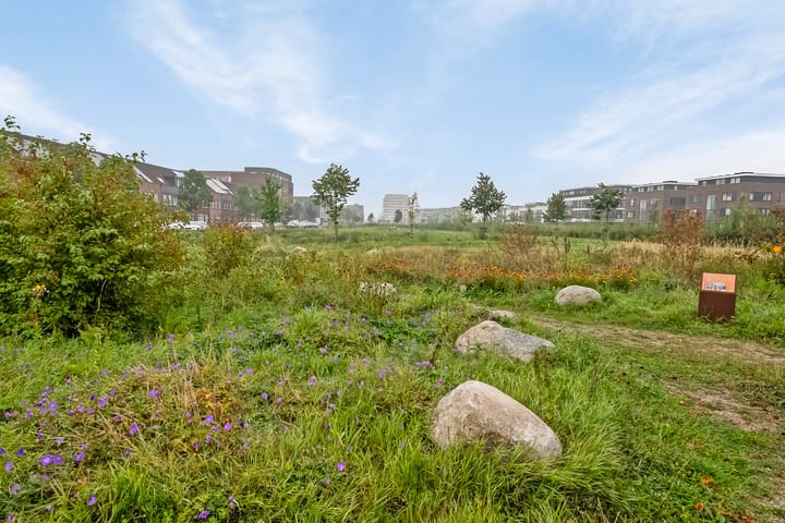 Foto 9 van Beneluxlaan 716