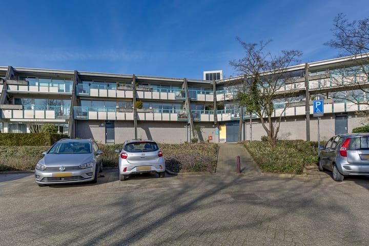 Photo 28 of Flora 49