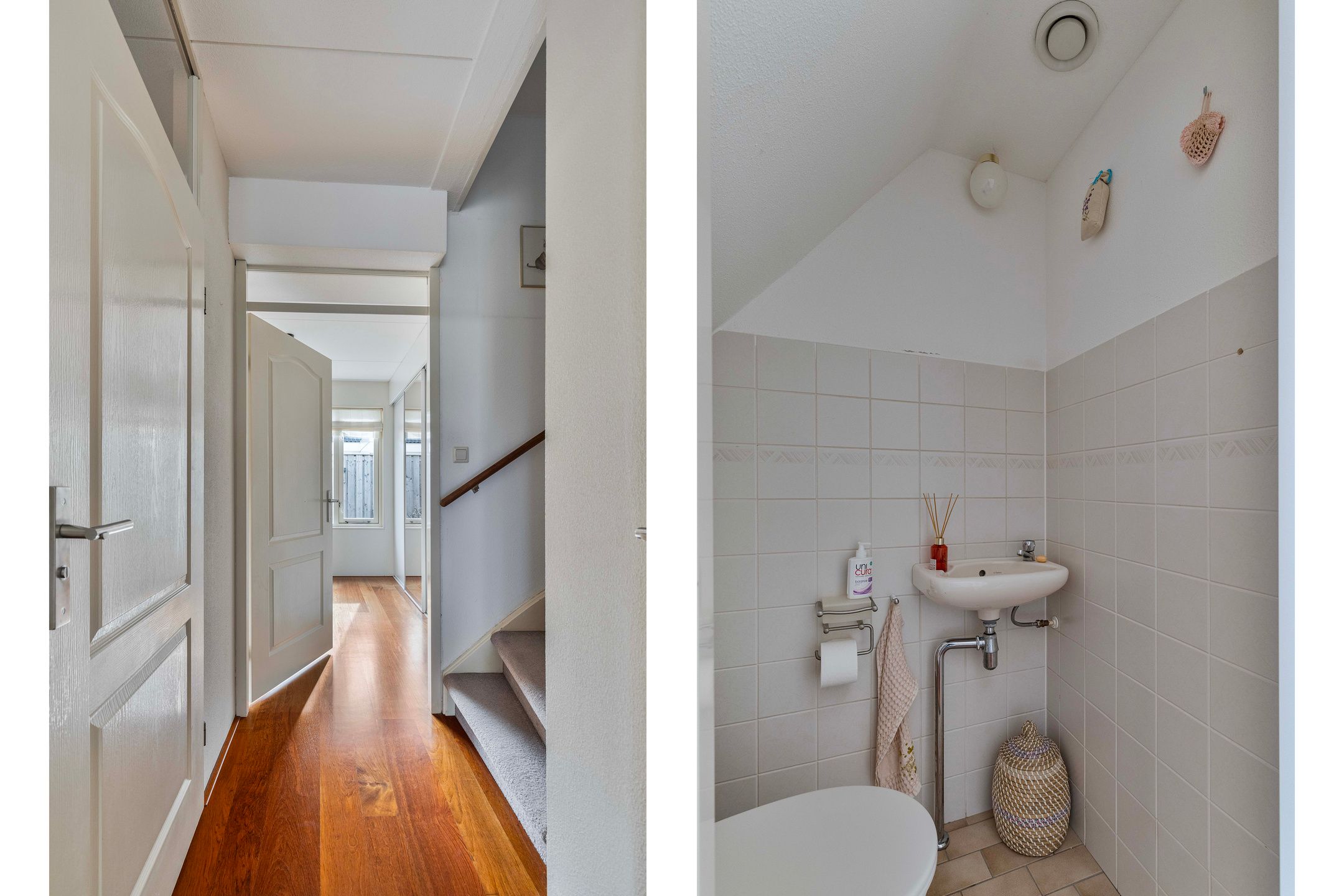 Foto 15 van Dwergvinvis 18