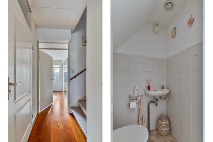 Foto 15 van Dwergvinvis 18