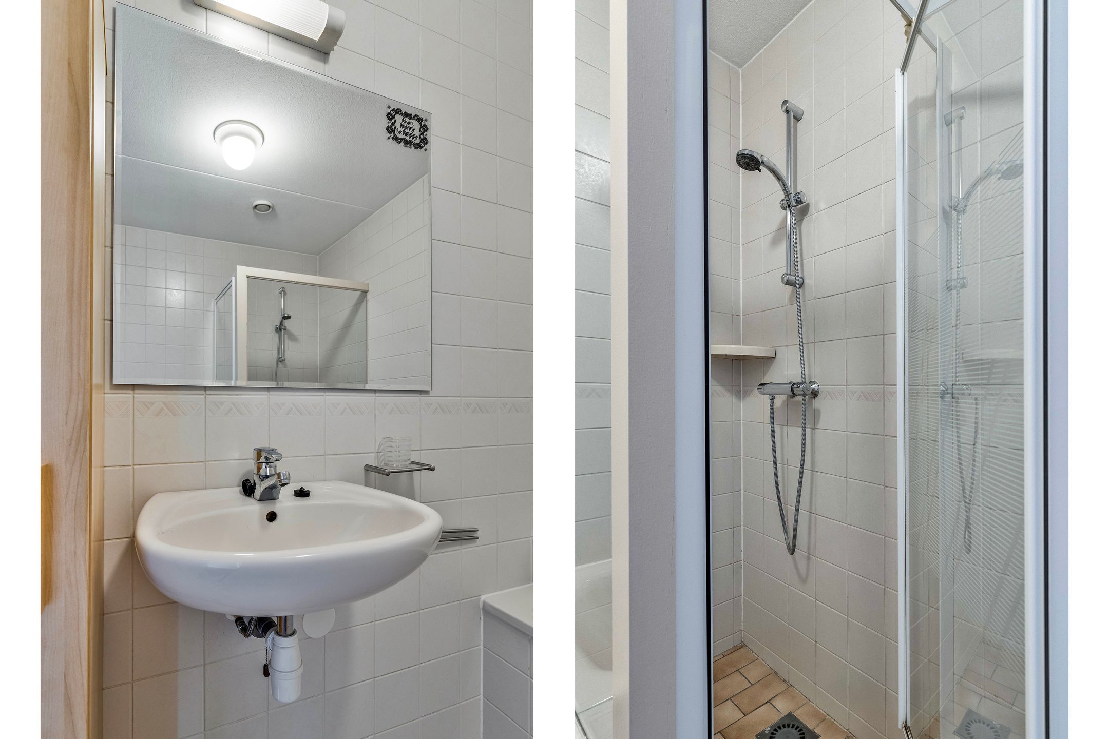 Foto 18 van Dwergvinvis 18