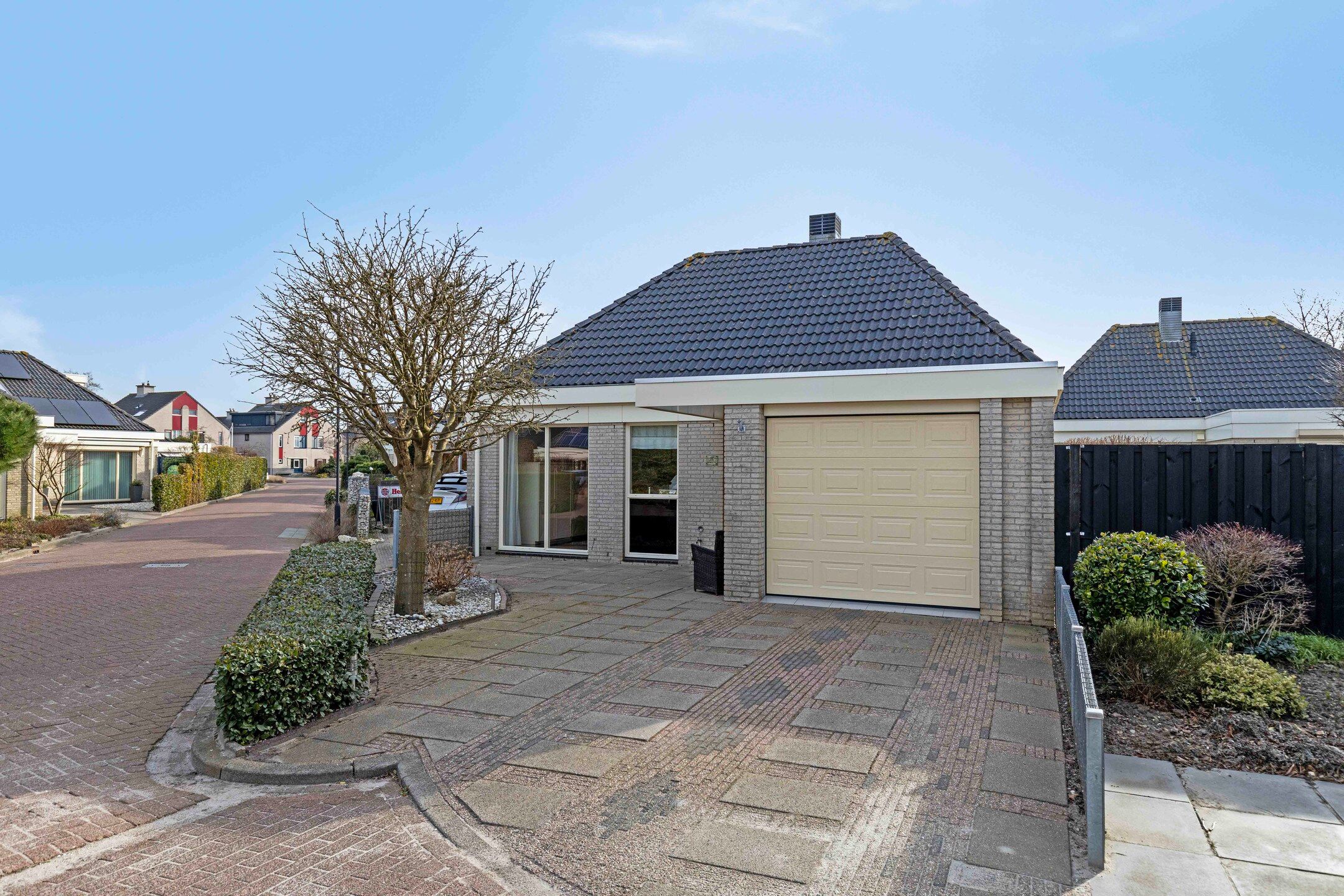 Foto 6 van Dwergvinvis 18