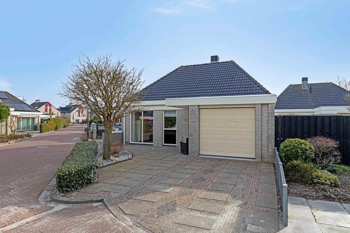 Foto 6 van Dwergvinvis 18