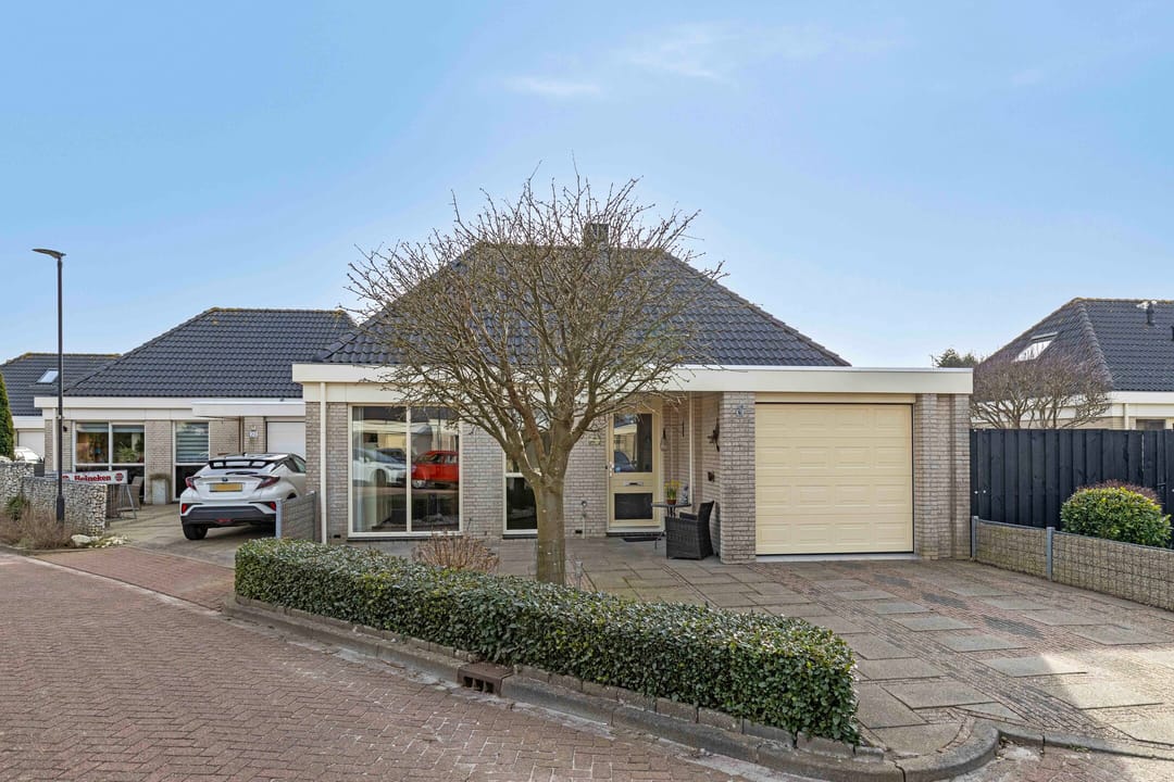 Foto 26 van Dwergvinvis 18