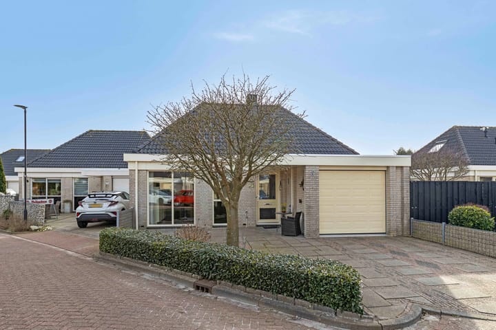 Foto 26 van Dwergvinvis 18