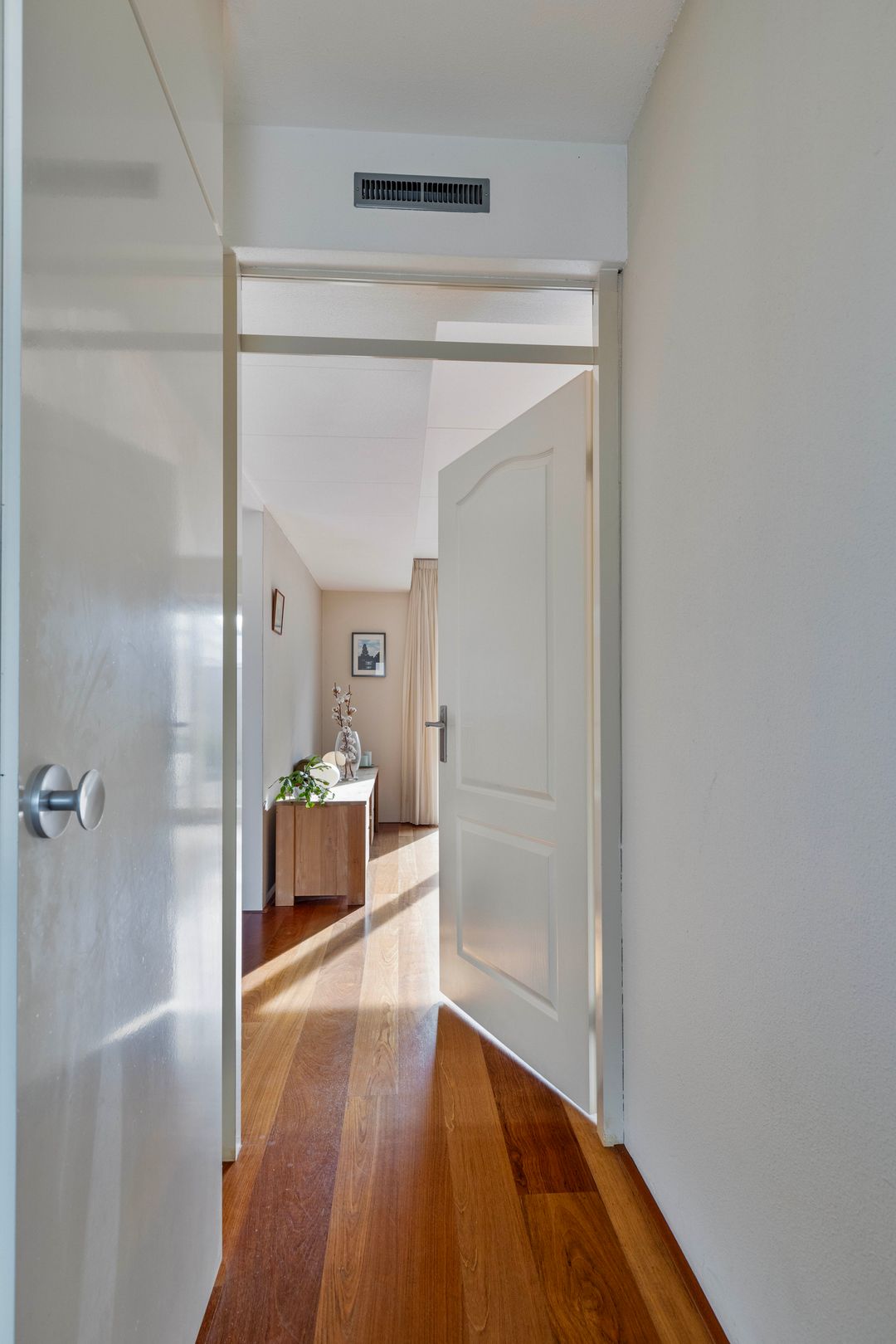 Foto 7 van Dwergvinvis 18