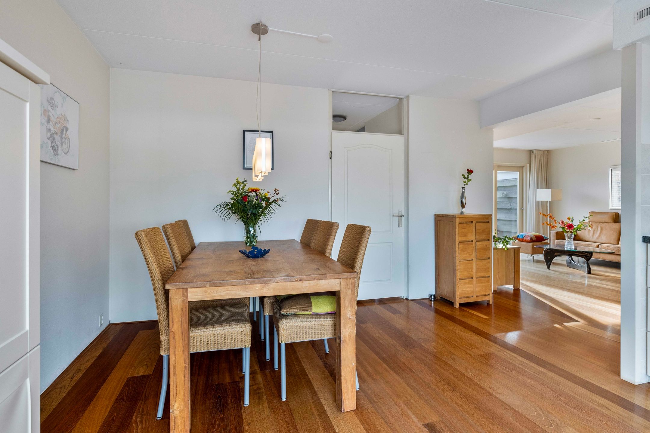 Foto 3 van Dwergvinvis 18