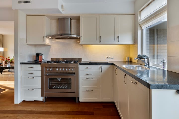 Foto 4 van Dwergvinvis 18