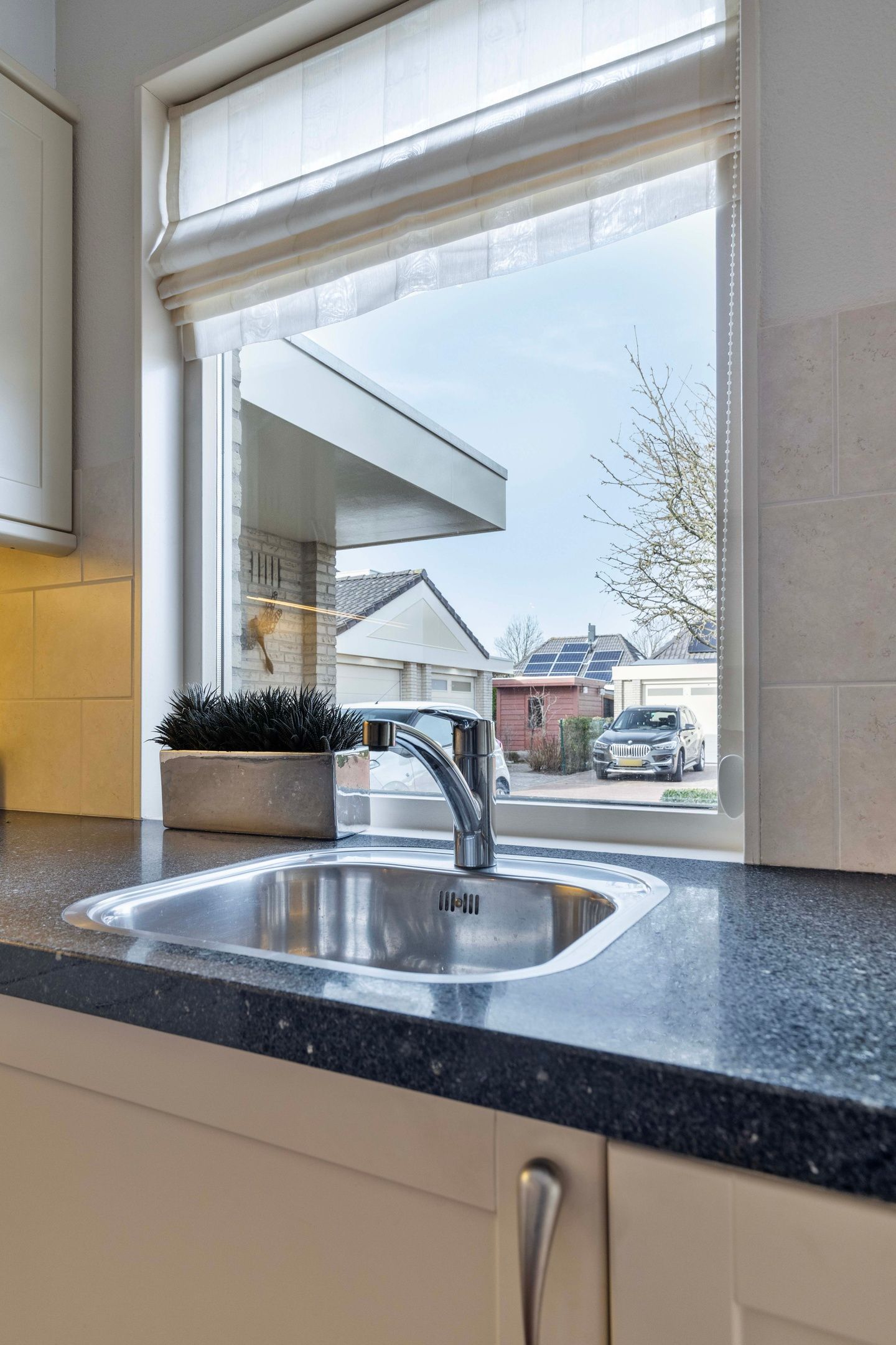 Foto 14 van Dwergvinvis 18