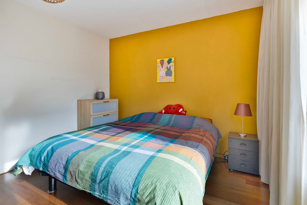 Foto 17 van Dwergvinvis 18