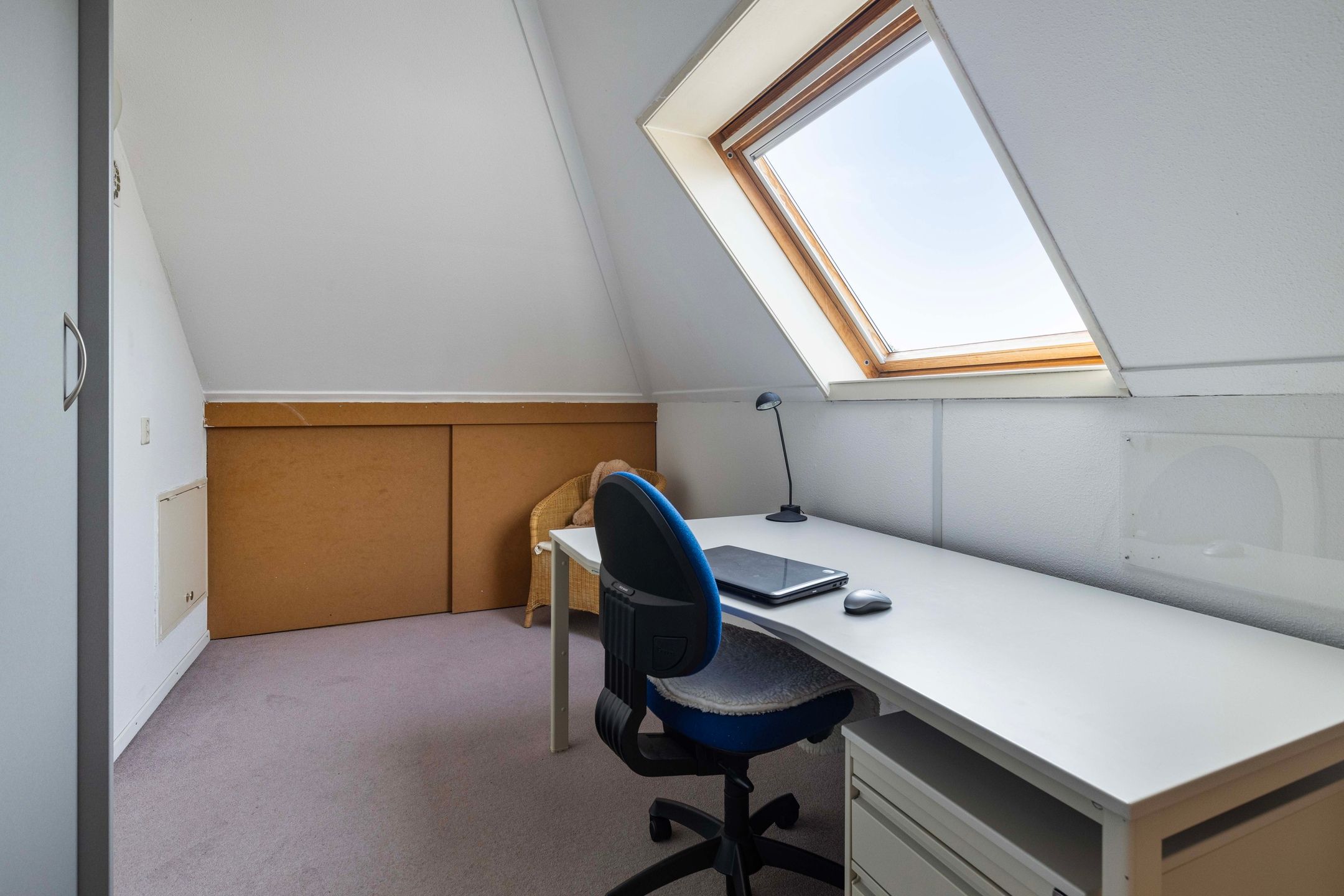 Foto 21 van Dwergvinvis 18