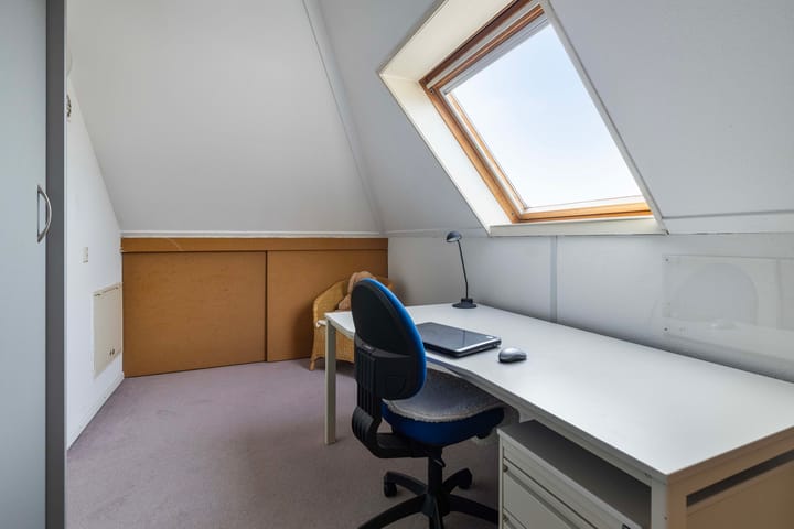 Foto 21 van Dwergvinvis 18