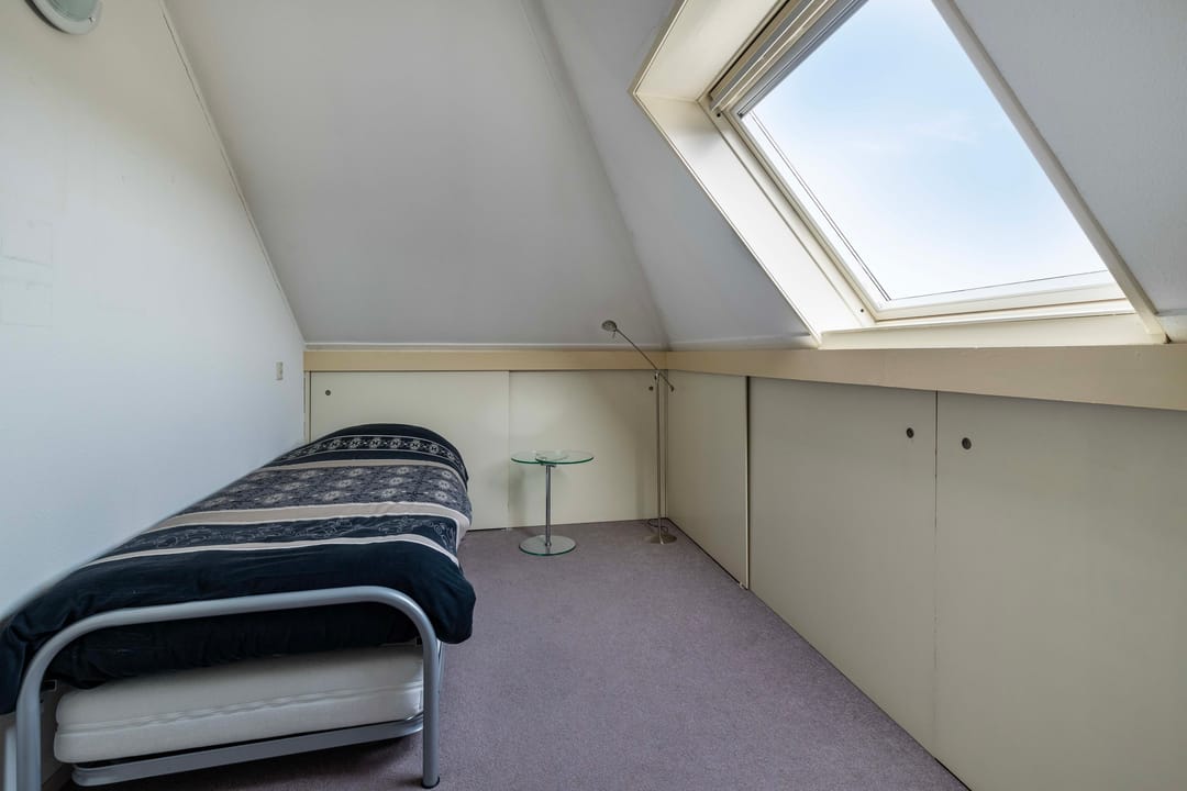 Foto 22 van Dwergvinvis 18