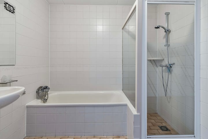 Foto 19 van Dwergvinvis 18