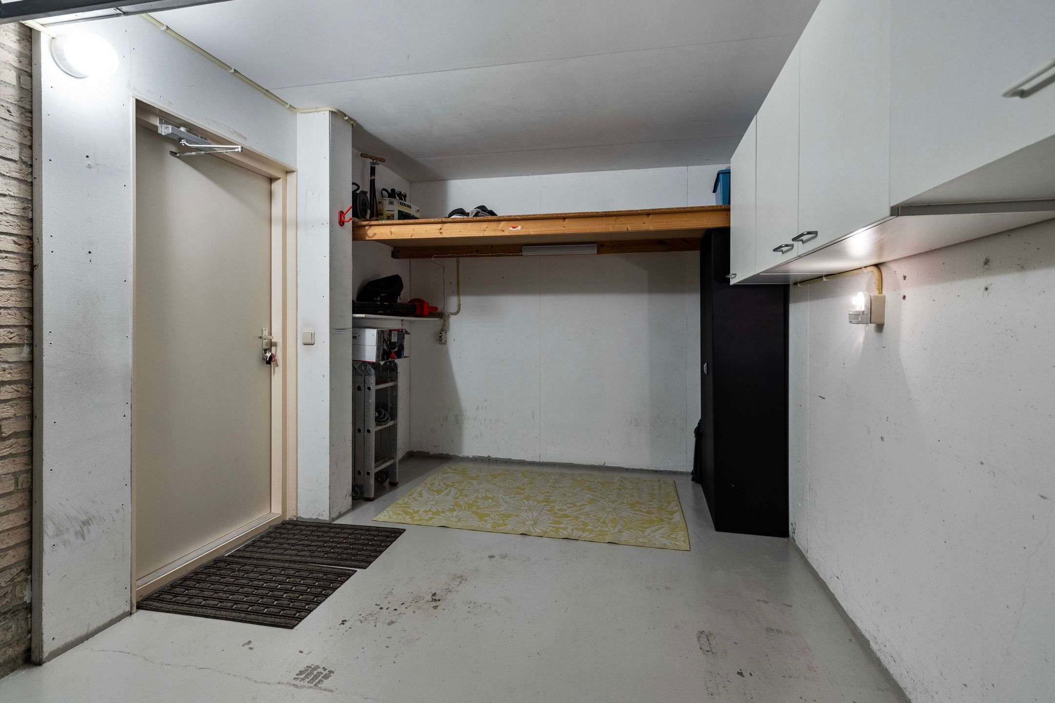 Foto 27 van Dwergvinvis 18