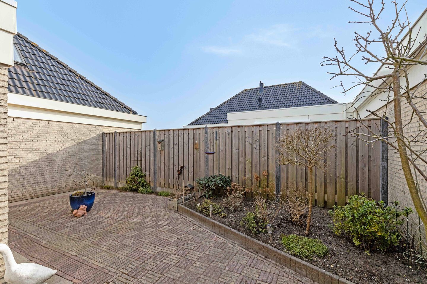 Foto 25 van Dwergvinvis 18