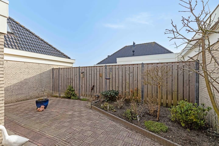 Foto 25 van Dwergvinvis 18