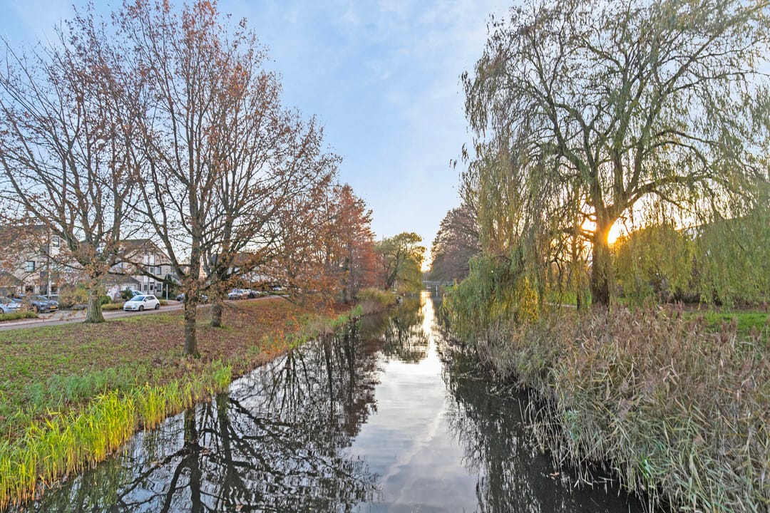 Foto 37 van Hobostraat 24