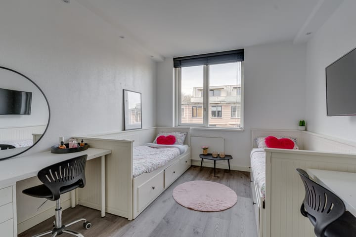 Foto 18 van Gerard ter Borchhage 118