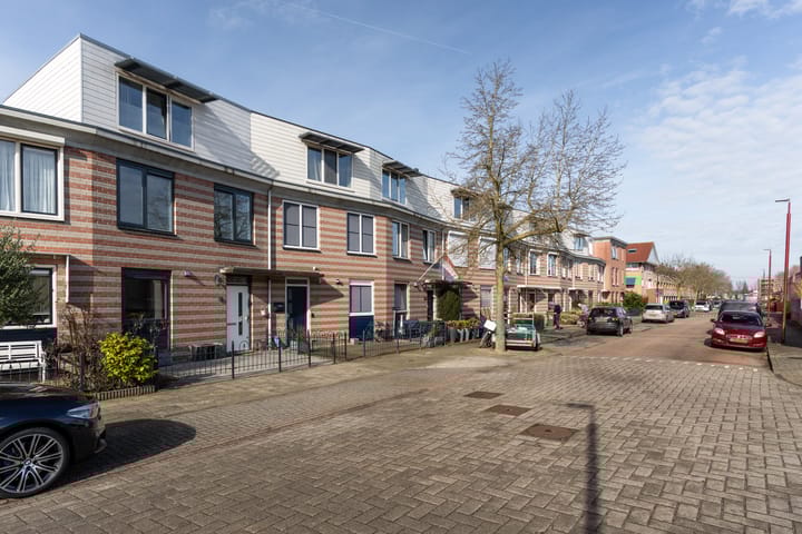 Foto 28 van Gerard ter Borchhage 118