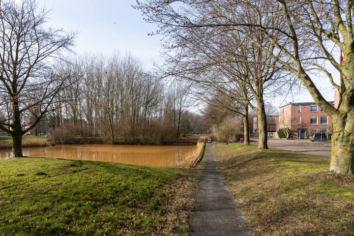 Foto 31 van Gerard ter Borchhage 118