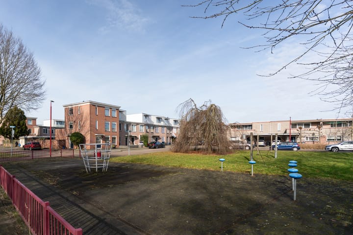 Foto 32 van Gerard ter Borchhage 118