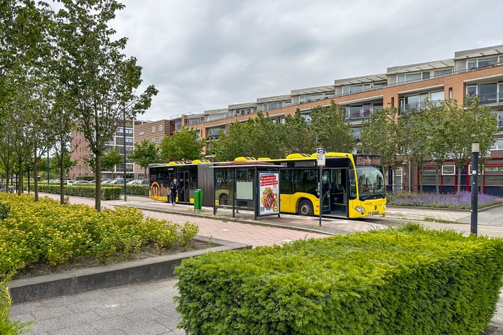 Foto 33 van Gerard ter Borchhage 118