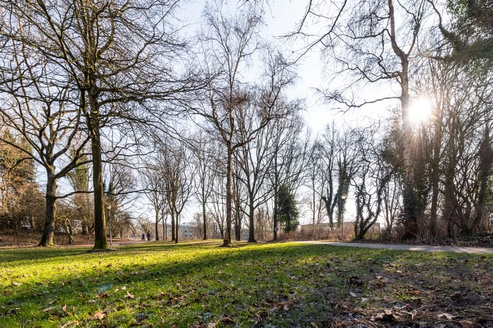 Foto 26 van Prattenburg 313