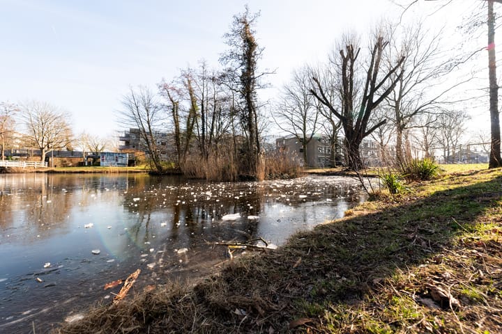 Foto 27 van Prattenburg 313