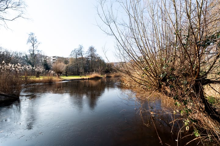 Foto 28 van Prattenburg 313