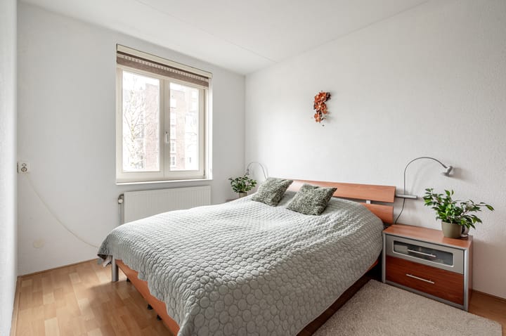 Foto 3 van Westerschelde 4