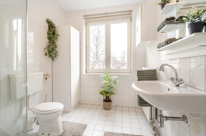 Foto 5 van Westerschelde 4